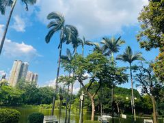 -晓港公园