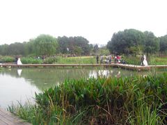 -昆山城市生态森林公园