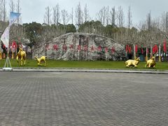 -上海海湾国家森林公园