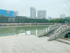 -采蝶轩