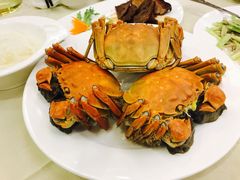 -王宝和酒家(黄浦店)
