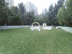 android_upload_pic-海德温泉酒店