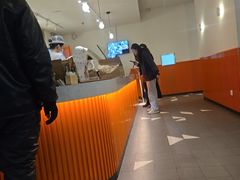 -油梨树 AVOCADO TREE(亮马桥店)