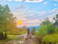 -千岛湖天屿景区