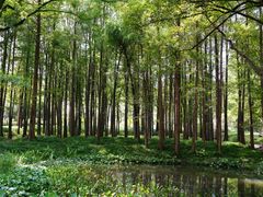 -杭州植物园
