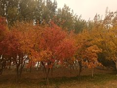 -东郊湿地公园