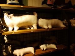 -猫咪博物馆(顶澳仔猫街店)