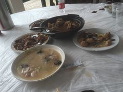 -上海野生动物园老虎餐厅