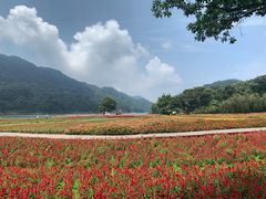 -广州市石门国家森林公园