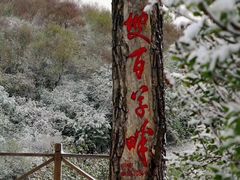 -白草畔自然风景区