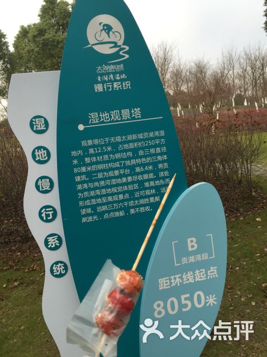 贡湖湾湿地公园图片 - 第533张