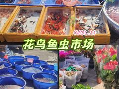 -中环花鸟鱼虫市场