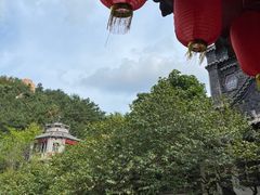 -老张烤羊(王哥庄店)