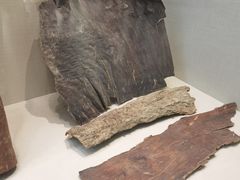 -广东中医药博物馆