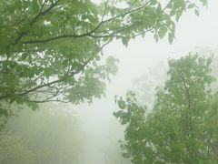 -妙峰山风景名胜区