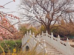 -宣武艺园