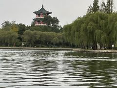-莱西月湖公园