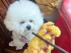 -哈尔滨饺子王·东北菜(鱼鳞浃路店)