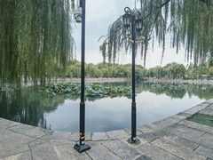 -百花洲