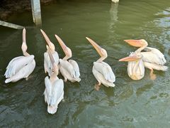 -常州淹城野生动物世界