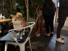 -闲·胡同 Barblu Hutong(雍和宫五道营店)