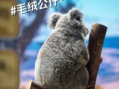 -红山森林动物园