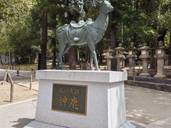 -奈良公园