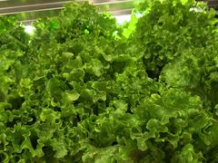 -九田家黑牛烤肉料理(衡百国际店)