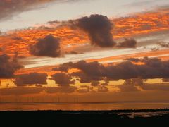 -春花秋色城市公园