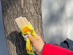 -百年义利(东直门店)