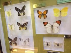 iphone_upload_pic-上海昆虫博物馆