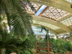 -杭州开元森泊度假乐园