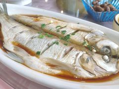 清蒸鲜白鱼-西新饭店(城中店)