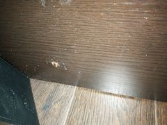 -桔子酒店(上海西藏北路地铁站店)