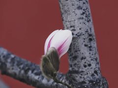 -东华门大街小区
