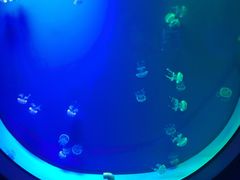 -福州罗源湾海洋世界旅游区