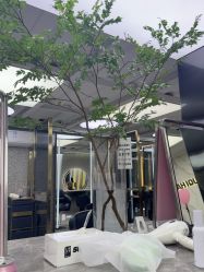 -苏奇发型·烫发染发