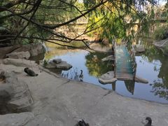 -南昌动物园