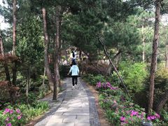 -千岛湖天屿景区