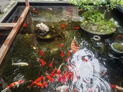 -野蔓果·山野菜(西湖景区·龙井茶田店)