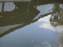 -秋霞圃