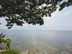 -养马岛旅游度假区