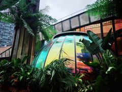 -新天地活力PARK