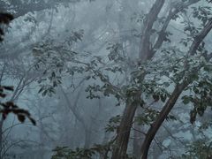 -终南山南五台景区