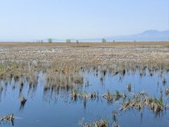 -野鸭湖国家湿地公园