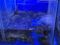 -祥鹤龙虾螃蟹