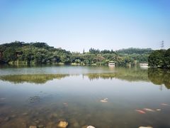 -深圳仙湖植物园