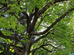 -狼山风景名胜区