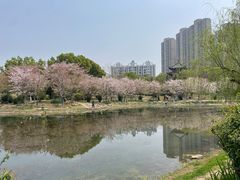 -堤角公园