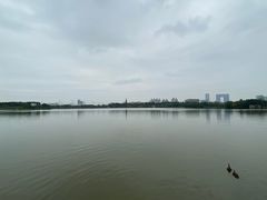 -海珠湖公园